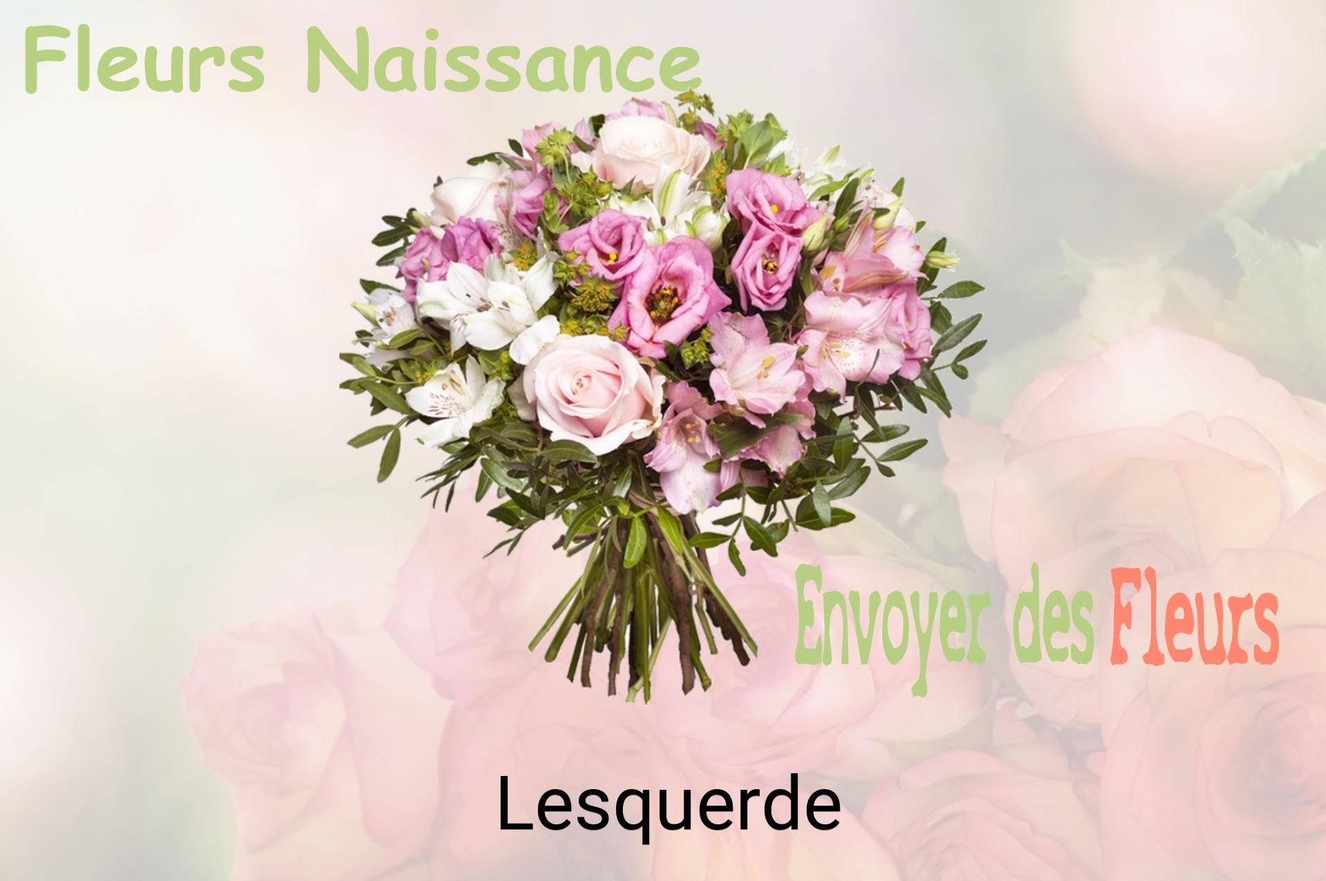 Bouquet de fleurs de naissance livré à Lesquerde